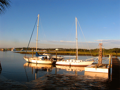 Sailboats, docked
