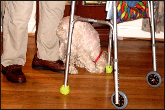 Sophie-with-ball-and-jack