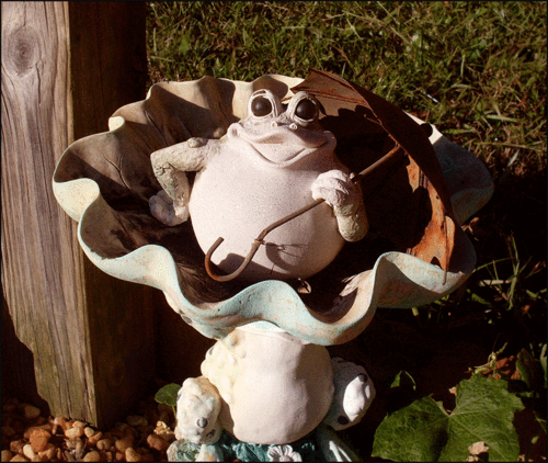 Frog-umbrell