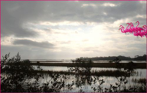 Xmas-marsh