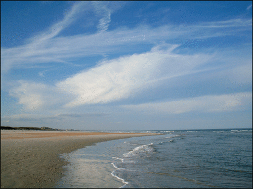 Fish-cloud