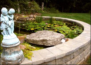 Garden bg3 copy