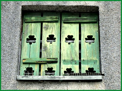 Shamrck window copy
