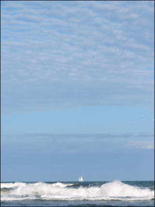 Sailing-copy