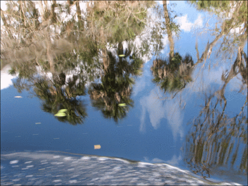 Reflection-copy
