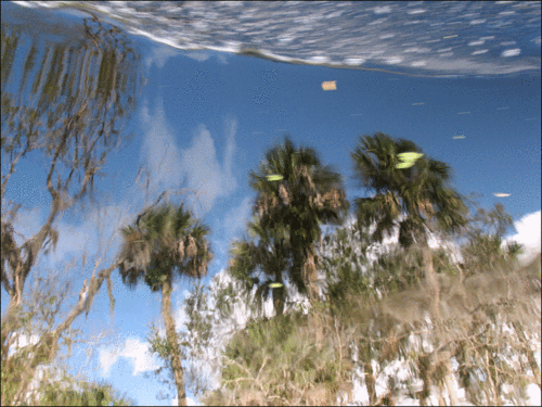 Reflection-copy-2