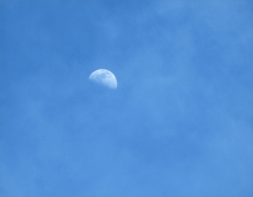 Half-moon