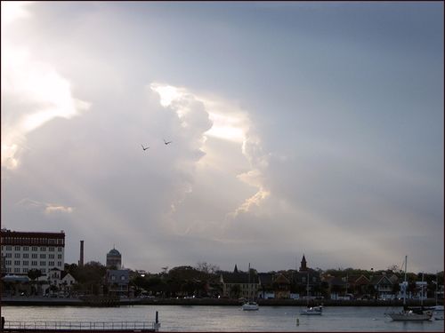 Harbor copy