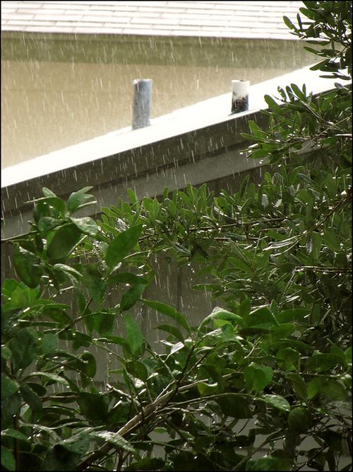 Rain blog