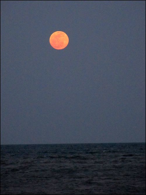 Moon5.5
