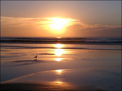 Borrowed sunrise pp