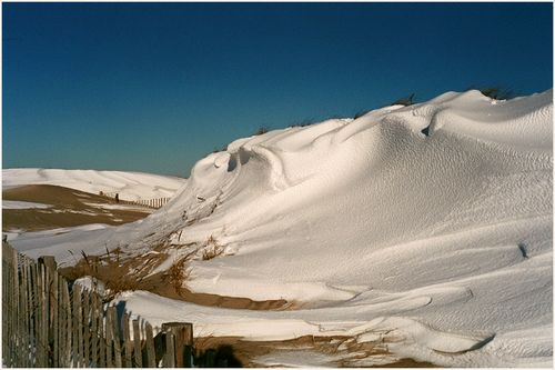 Snowdrift blog