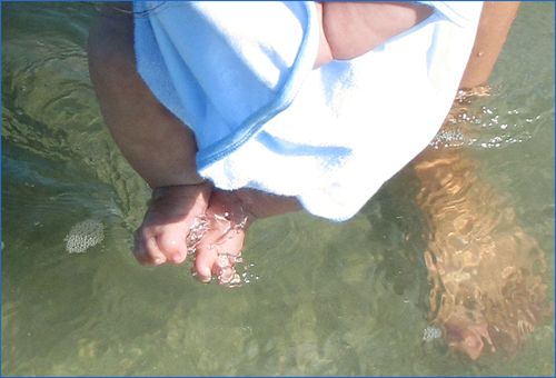 Toes in water blog