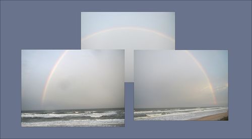 Rainbowa blog