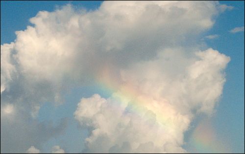 Rainbowshard Rainbowshard