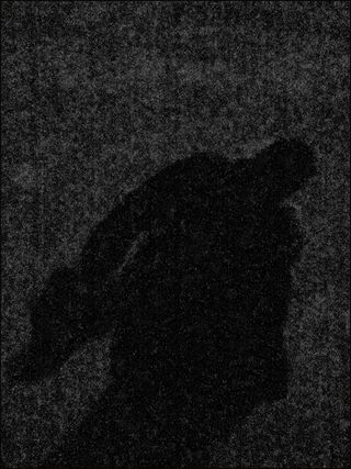 Moonshadow blog