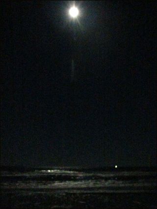 Moonlit blog
