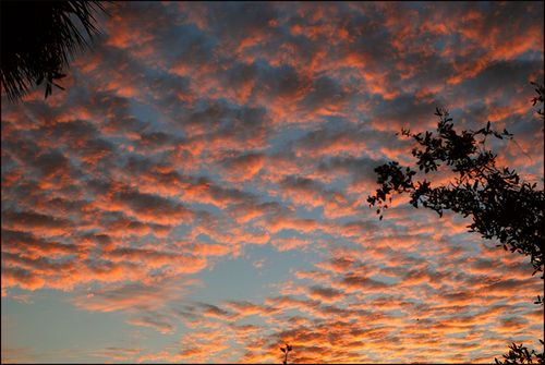 Sunsetsimple blog