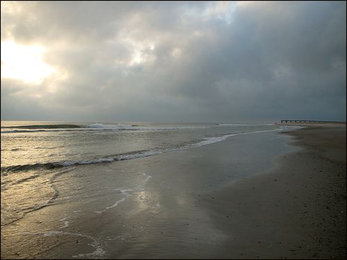 Silverbeach blog