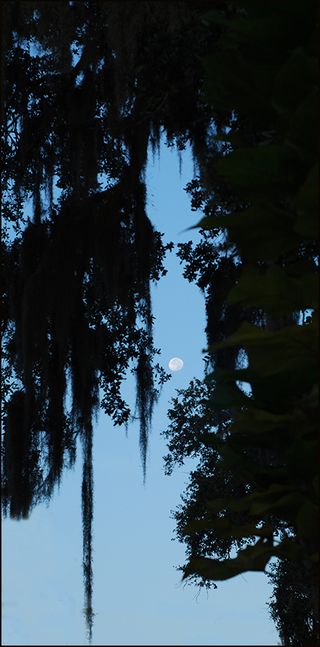 Moonlit blog