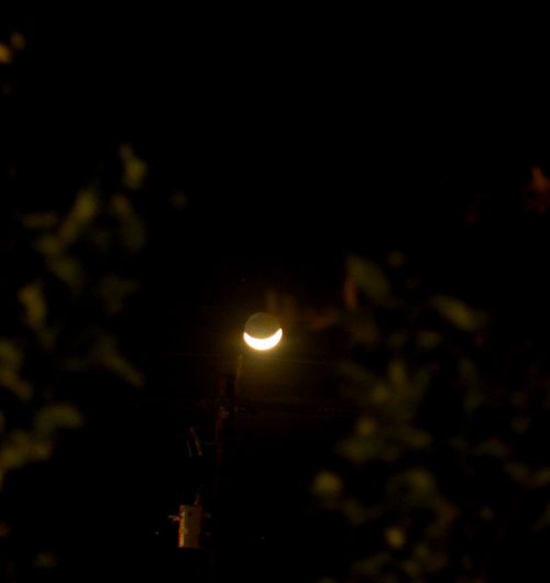 Moonsmile blog1