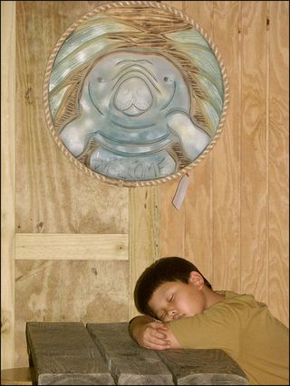 Andrewsleep blog