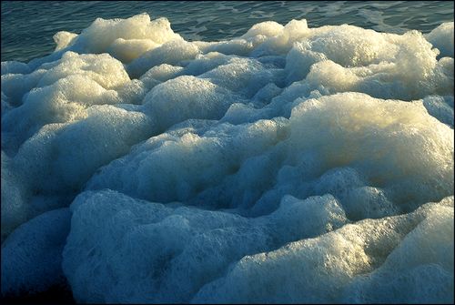 Sea foam525 blog