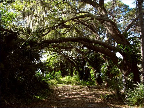 The path blog