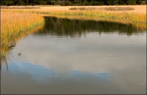 Mosescreek blog