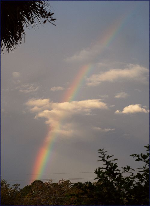 Marchrainbow blog