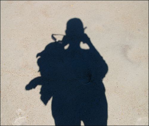Shadow blog Shadow blog