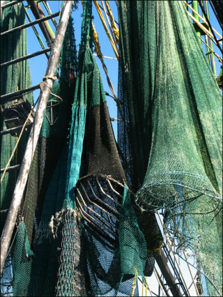Nets ready blog