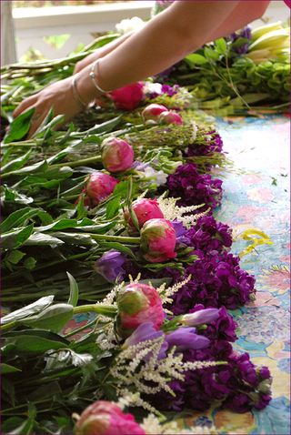 Flowrsfrnds blog
