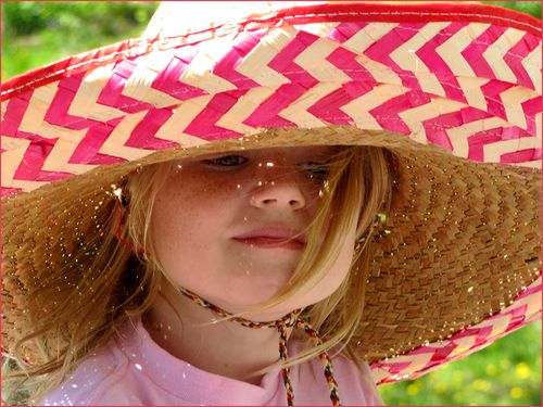 Hat phoeb blog