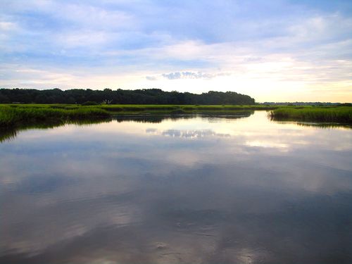 Vaill marsh61 blog