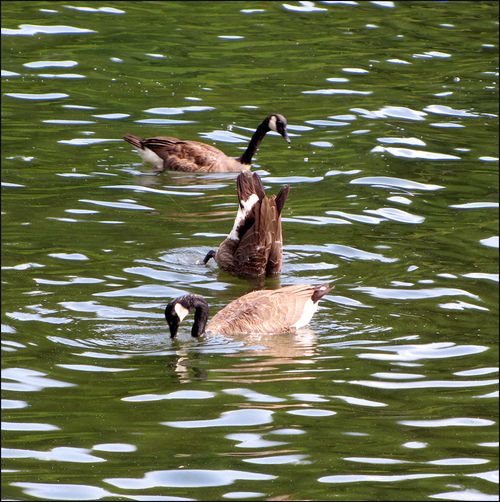 Bottom's up blog