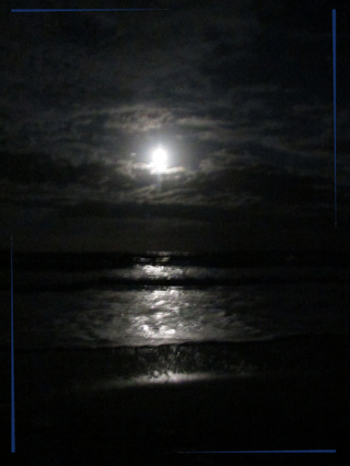 Harvest moon196 blog
