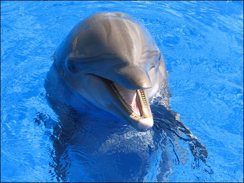 Nellie6521blog