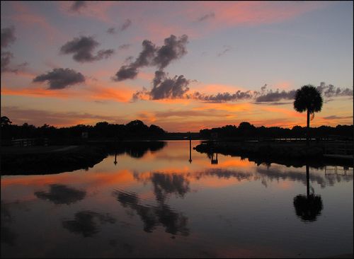 Sunser317 blog