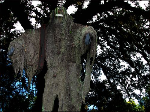 Monster blog