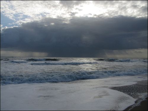 Gray sunrse