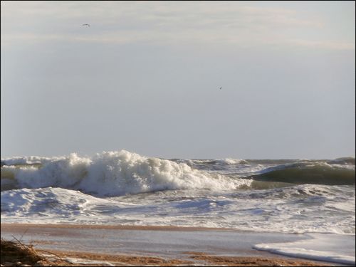 Wildwind2 blog