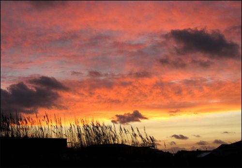 Pastseaoats sunset