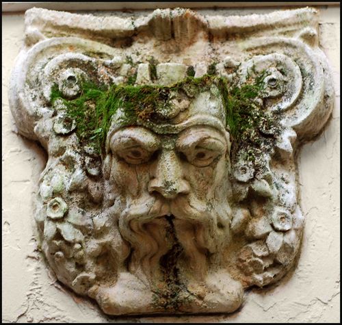 Wise guy blog