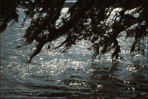Samerivertwice