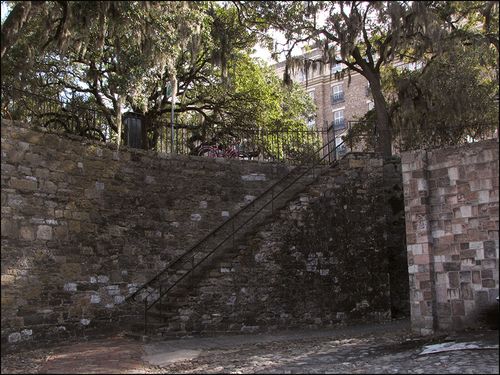 Savana steps68 blog