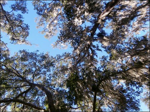 Vail wind blog
