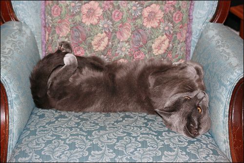 Relax pj blog