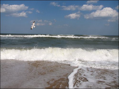 Surf's up2014 blog