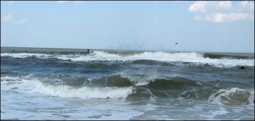 Surfers2